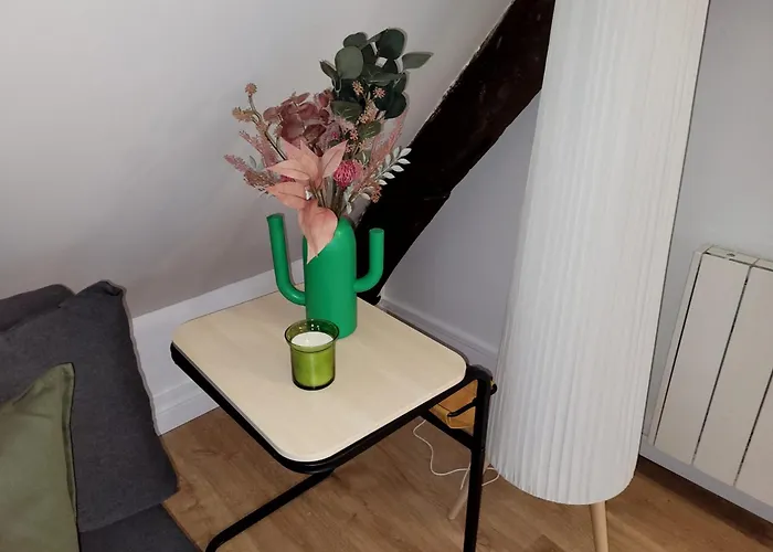 Appartement Atypique